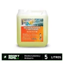 DESINCRUSTANTE Y ANTISARRO